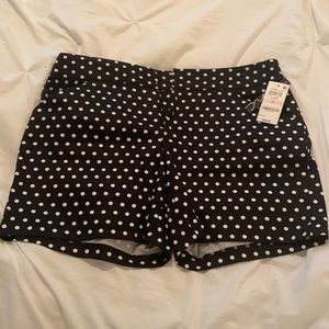 International Concepts black polka dot shorts